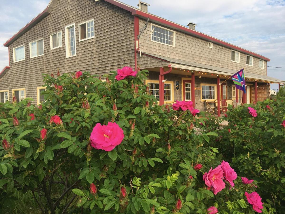 Auberge Cafe Acadien Bonaventure Buitenkant foto